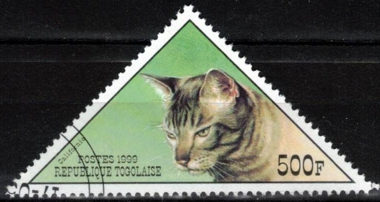 Gato,California Spangled .