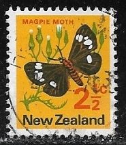 Mariposas - Magpie Moth 