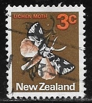 Mariposas - South Island Lichen Moth