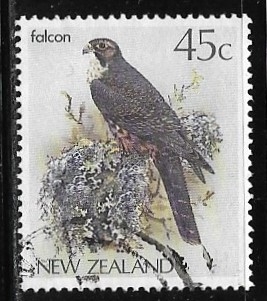 Aves - Falcon 