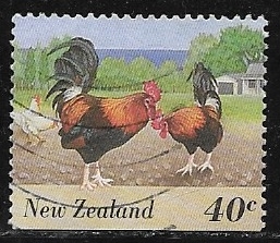 Gallinas