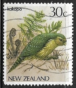 Aves - Kakapo