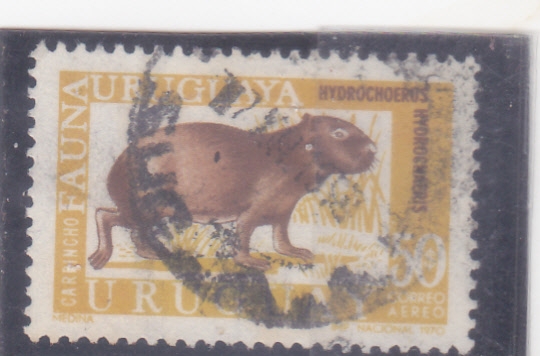 Fauna Uruguaya