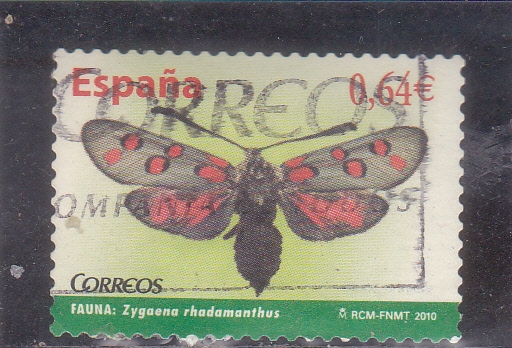 Mariposa (47)