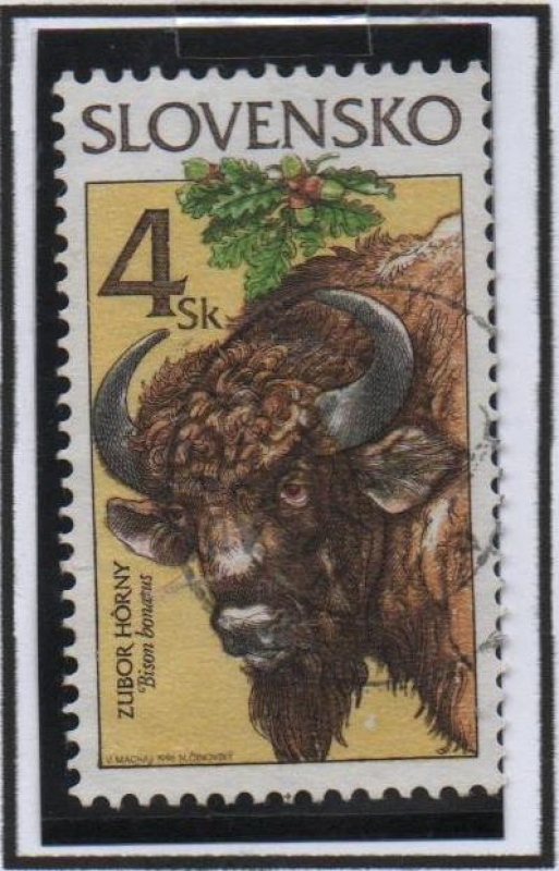 Animales Protegidos: Bison Bonasus