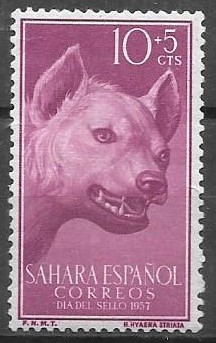 Sahara Español