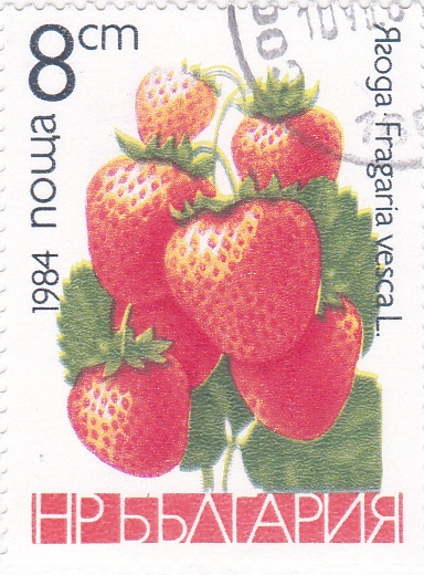 Fresas