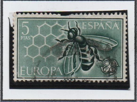 Europa: Abeja