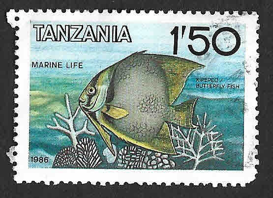 328 - Pez Mariposa