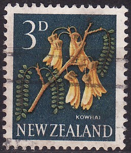 Kowhai