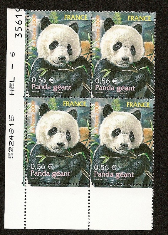 Oso Panda gigante
