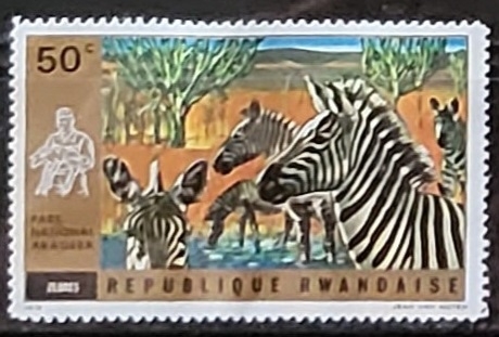 National Park of Akagera - Cebras - - Antilopes