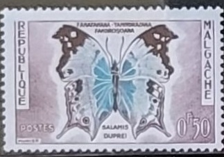 Mariposas - Salamis duprei