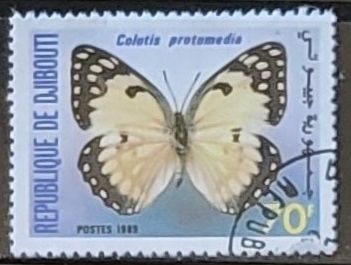 Mariposas - Colotis protomedia