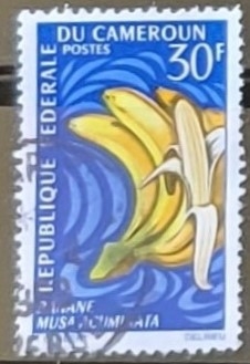 Banana