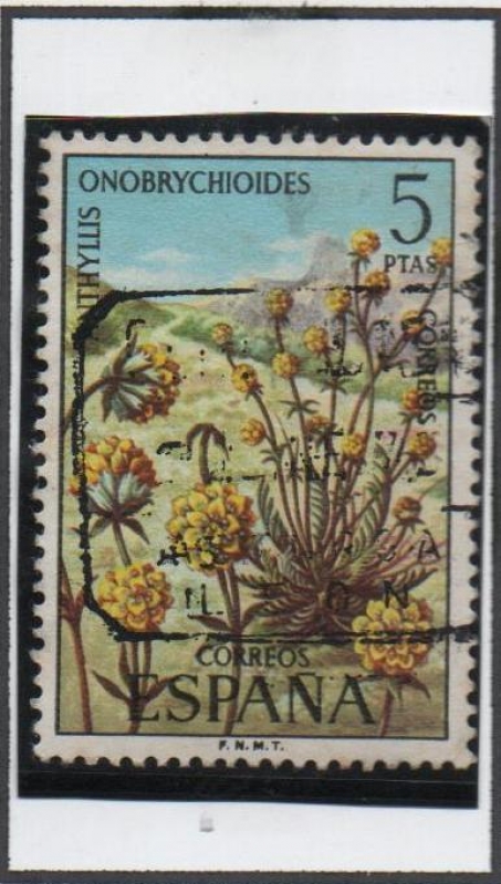 Anthylis Onobrychides
