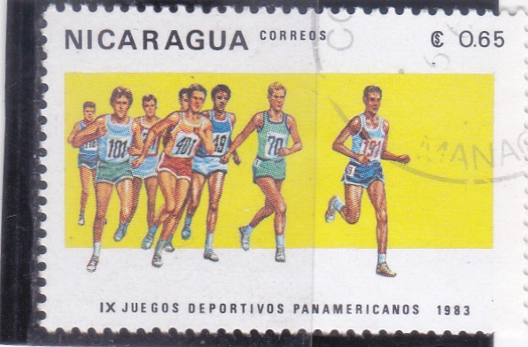 Juegos panamericanos