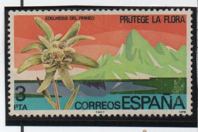 Protecion d' l' Naturaleza: Edelweiss d' Pirineo