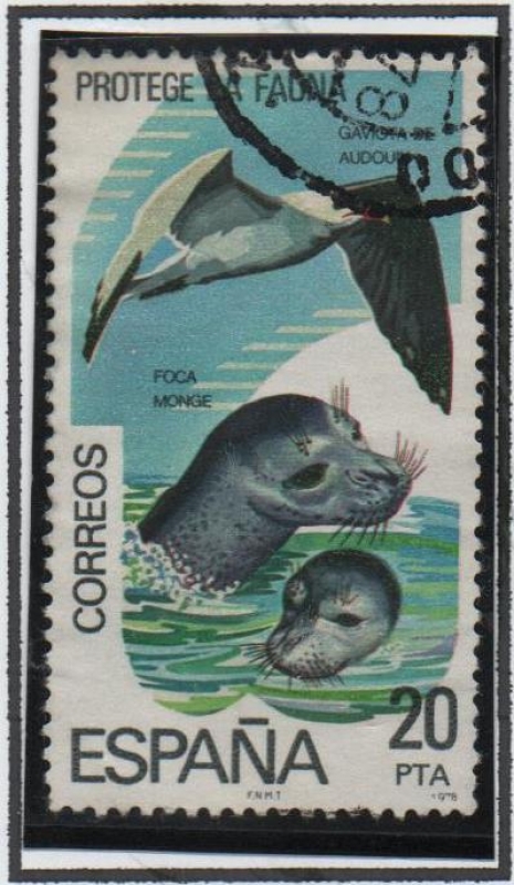 Protecion d' l' Naturaleza: Gaviotas y Focas