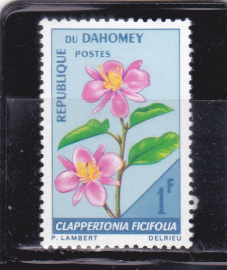 FLORES
