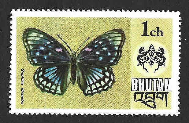 173 - Mariposa