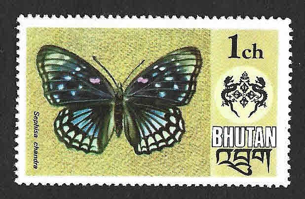 173 - Mariposa