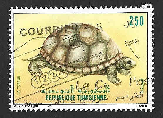 961 - Tortuga