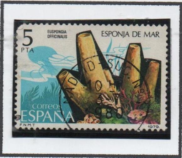 Esponja d' Mar