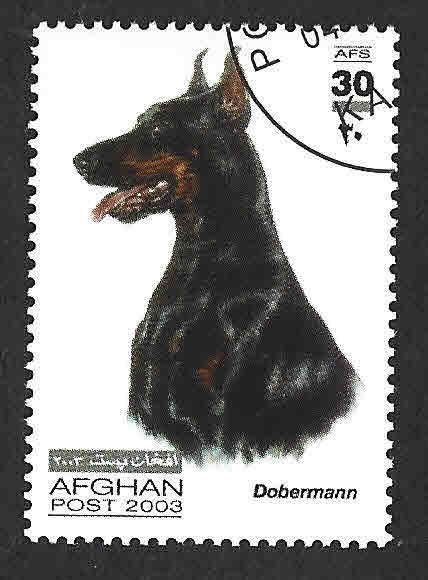 1401 - Doberman