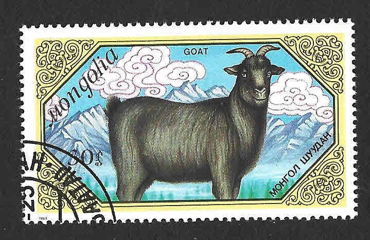 1731 - Cabra