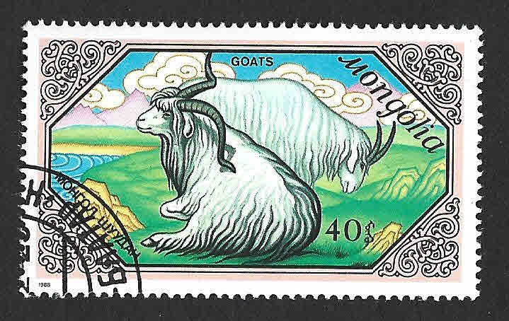 1732 - Cabras