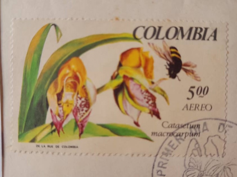 Catasetum Macrocarpum - 1a Exposición Nacional de Orquídeas-Medellín Abril 1967.