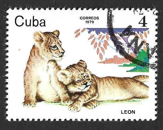 2294 - León
