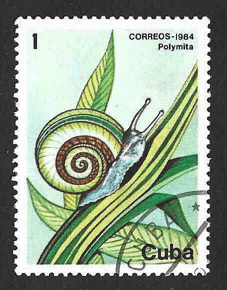 2735 - Caracol