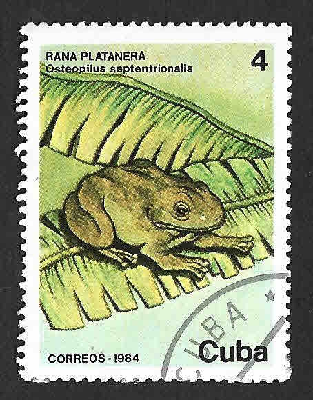 2738 - Rana Platanera