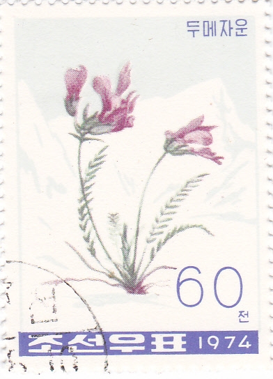 FLORES