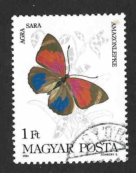2852 - Mariposa