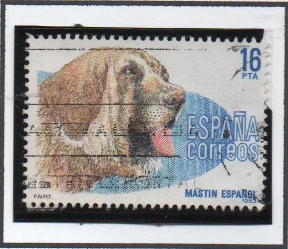 Perros d' Raza Española: Mastín Español