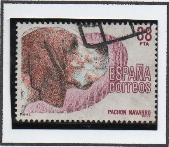 Perros d' Raza Española: Pachón Navarro