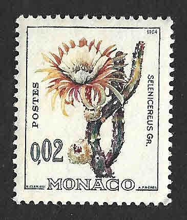 582 - Cactus en Flor