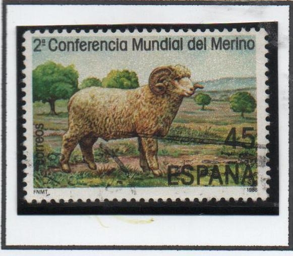 Carnero Merino