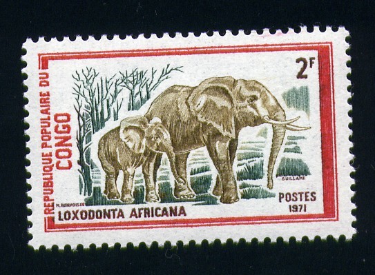 Elefante africano