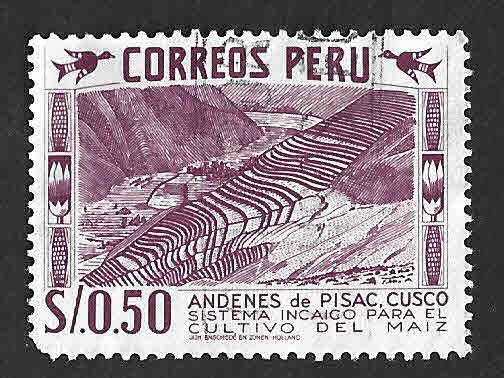 476 - Andenes de Pisac. Cuzco
