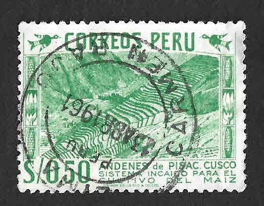 464 - Andenes de Pisac. Cuzco.
