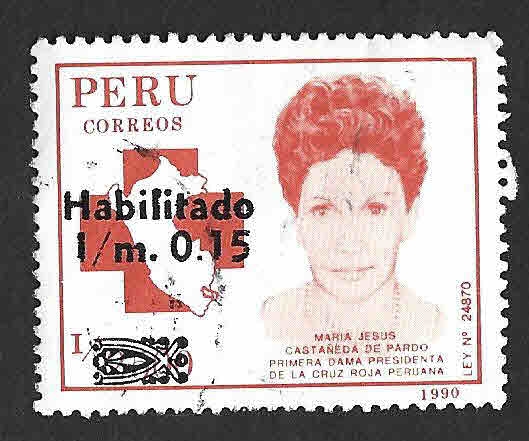 1004 - María Jesús Castañeda de Pardo 