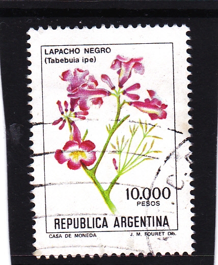 FLORES- Lapacho negro 