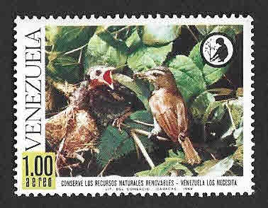 1005 - Vireo Ojirrojo