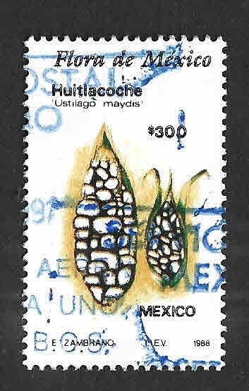 1577 - Flora de México