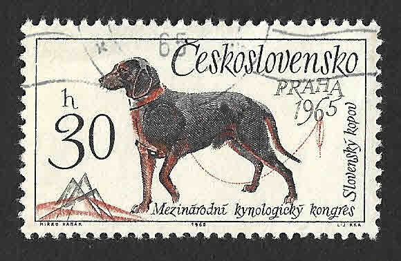 1312 - Perro Eslovaco Kopov