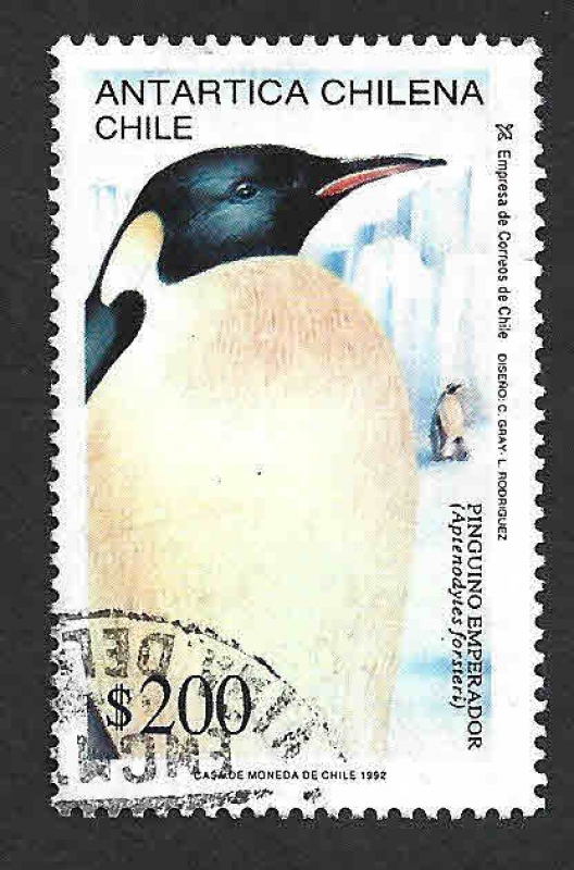 1020 - Pingüino Emperador